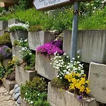 Chesa Bellaval, Haus Rizza 1 1 2-zimmerwohnung Διαμέρισμα